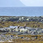 Aurora Sea-view With Wifi,sauna, Jaccuzi منزل ريفي