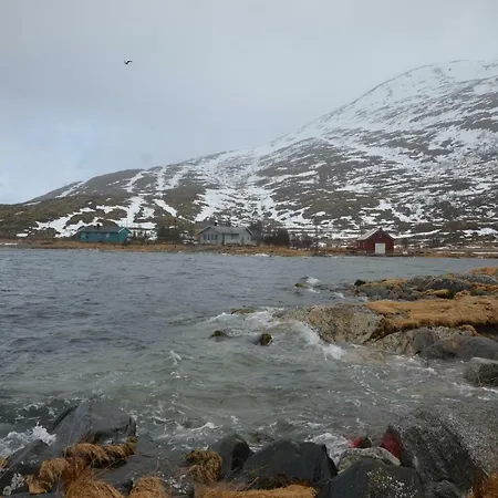 Country house Aurora Sea View With Wifi,sauna Vannareid