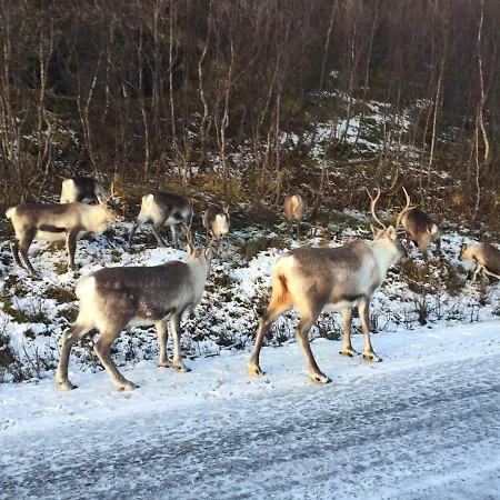 Aurora Sea View With Wifi,sauna, Jaccuzi Landsteder *