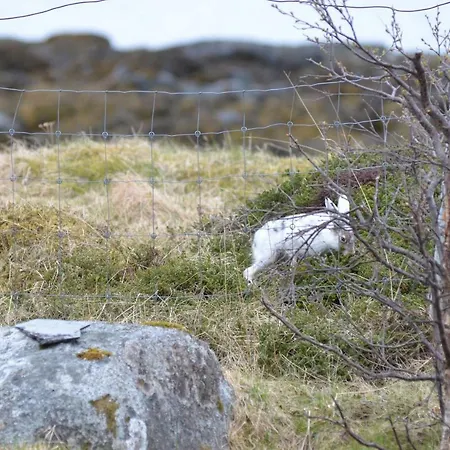 Aurora Sea View With Wifi,sauna, Jaccuzi Landsteder