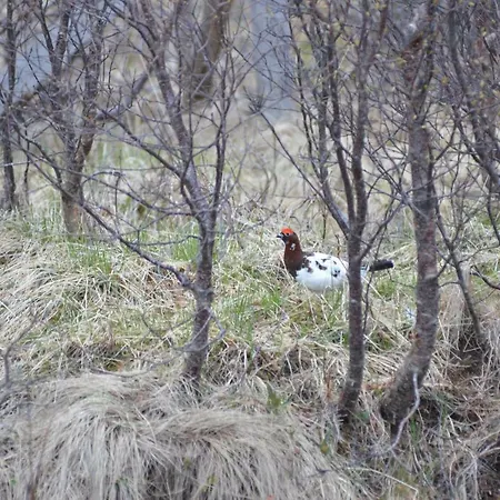 Aurora Sea View With Wifi,sauna, Jaccuzi Landsteder Vannareid