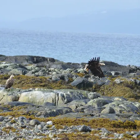Aurora Sea View With Wifi,sauna, Jaccuzi * Vannareid