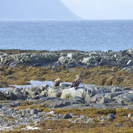 Aurora Sea View With Wifi,sauna, Jaccuzi Landsteder