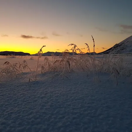 Aurora Sea View With Wifi,sauna, Jaccuzi * Vannareid