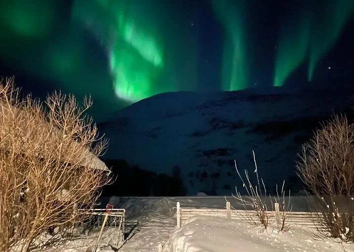 Aurora Sea-view With Wifi,sauna, Jaccuzi * Vannareid