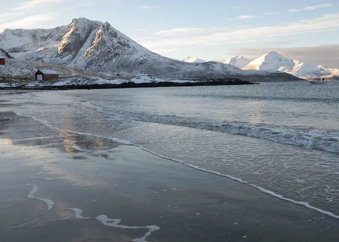 Aurora Sea-view With Wifi,sauna, Jaccuzi Kır Evi *