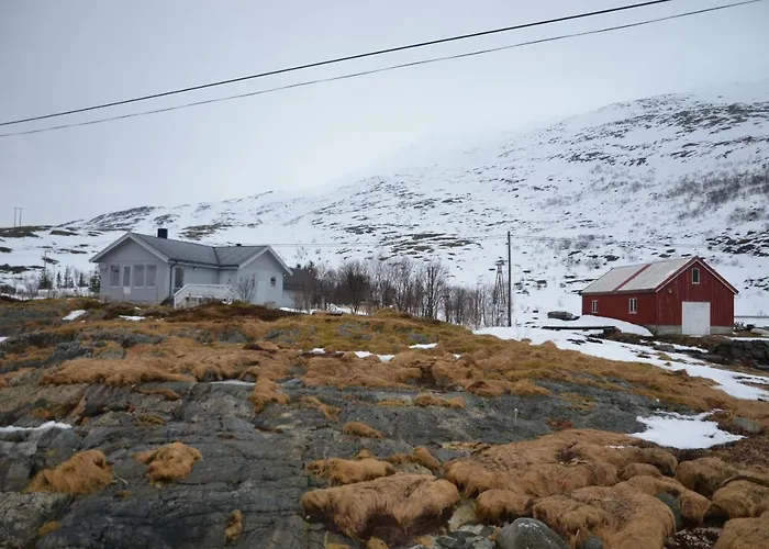 Aurora Sea-view With Wifi,sauna, Jaccuzi Kır Evi