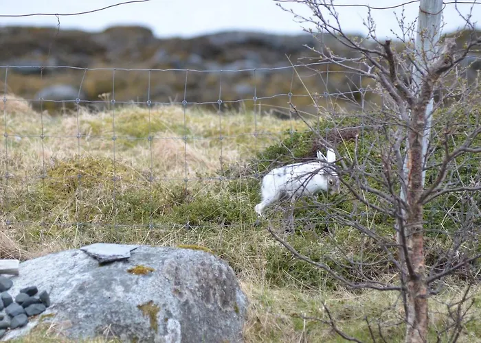 Aurora Sea-view With Wifi,sauna, Jaccuzi Kır Evi