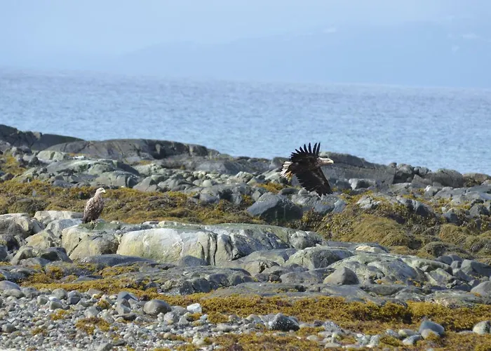Aurora Sea-view With Wifi,sauna, Jaccuzi * Vannareid
