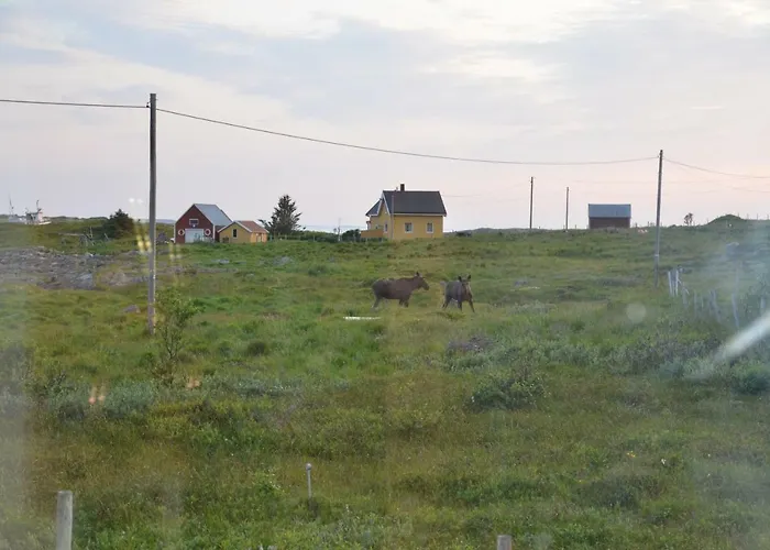 Gospodarstwo wiejskie Aurora Sea-view With Wifi,sauna, Jaccuzi