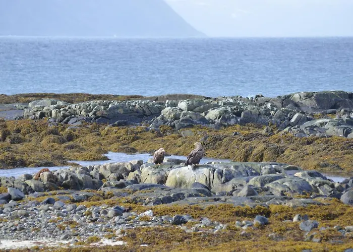 Aurora Sea-view With Wifi,sauna, Jaccuzi Kır Evi