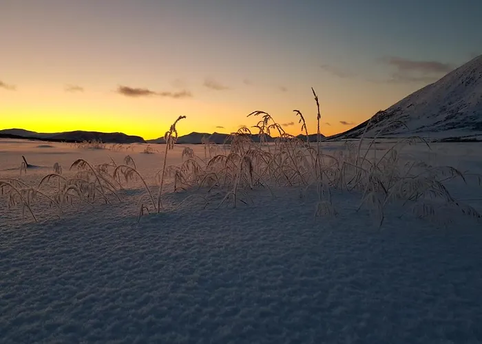 Aurora Sea-view With Wifi,sauna, Jaccuzi * Vannareid
