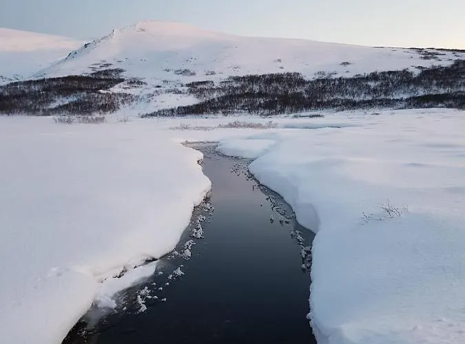 Aurora Sea-view With Wifi,sauna, Jaccuzi Vannareid