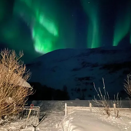 Aurora Sea-view With Wifi,sauna, Jaccuzi * Vannareid